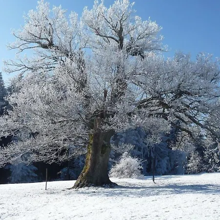 Für 3 Personen Ca 67 M In Clausthal-zellerfeld, Harz Oberharz * Clausthal-Zellerfeld