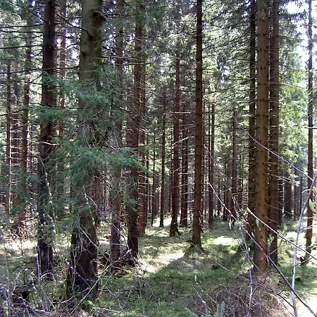 Für 3 Personen Ca 67 M In Clausthal-zellerfeld, Harz Oberharz * Clausthal-Zellerfeld